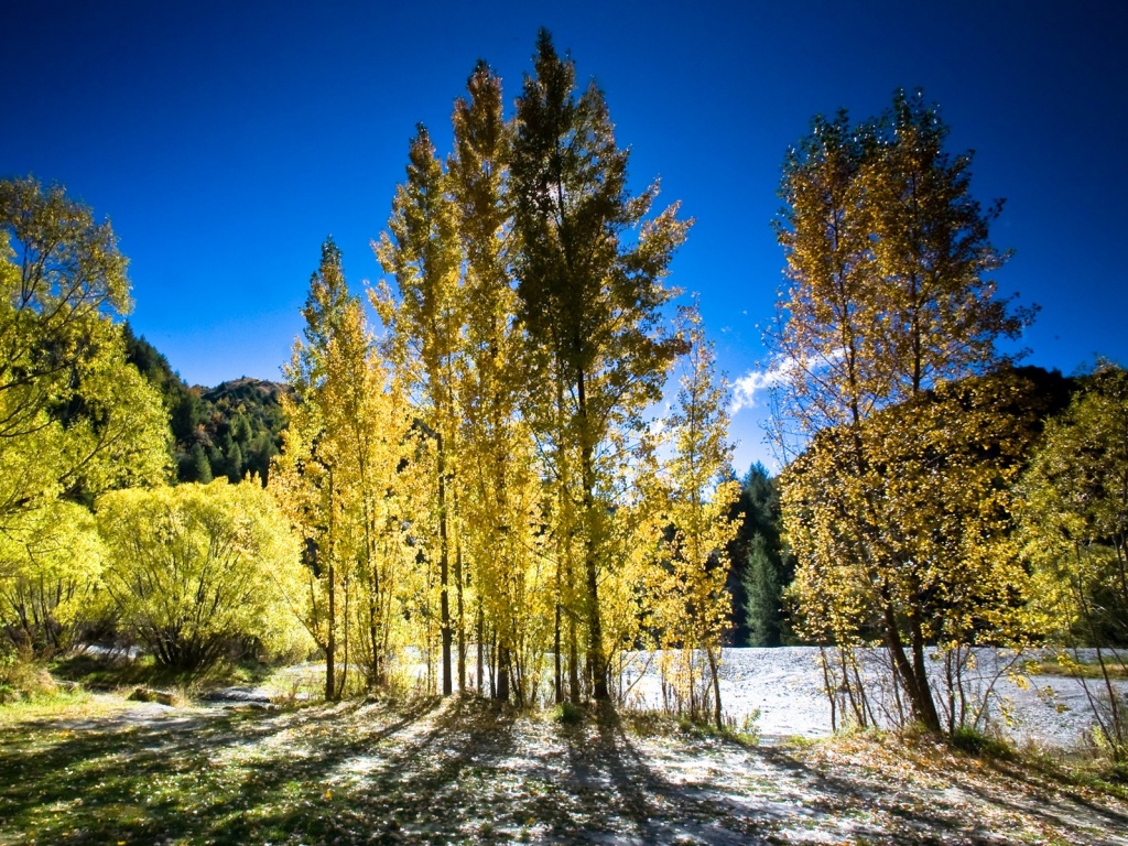 Осень в Новой Зеландии обои