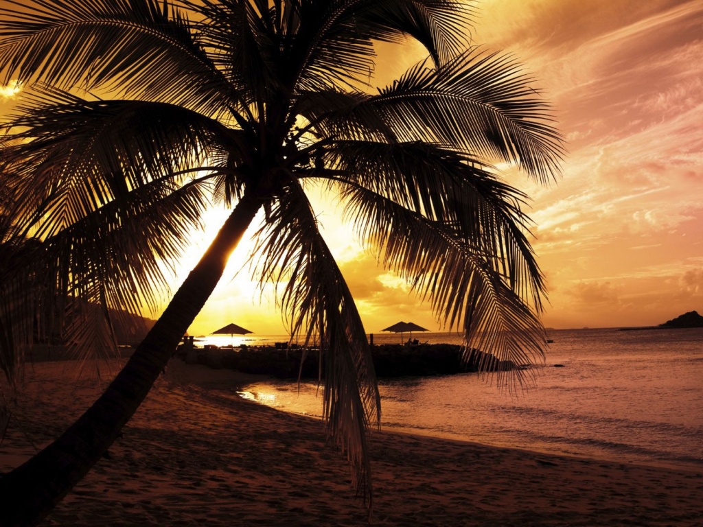 Пляж на закате обои