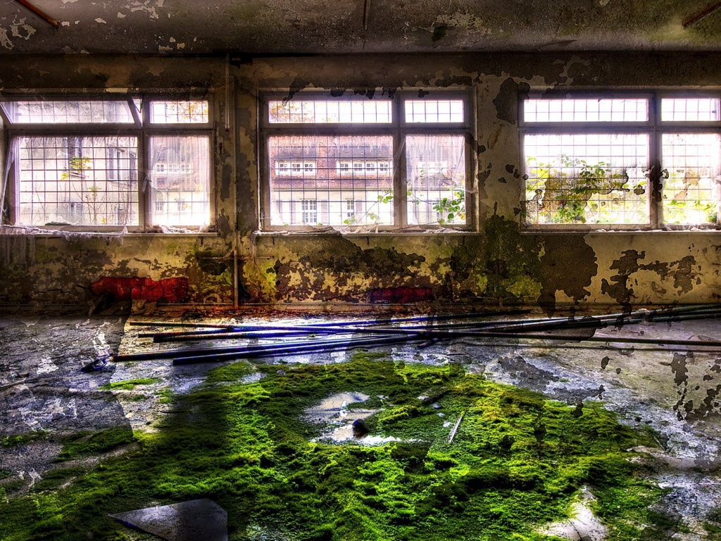 Запустение обои