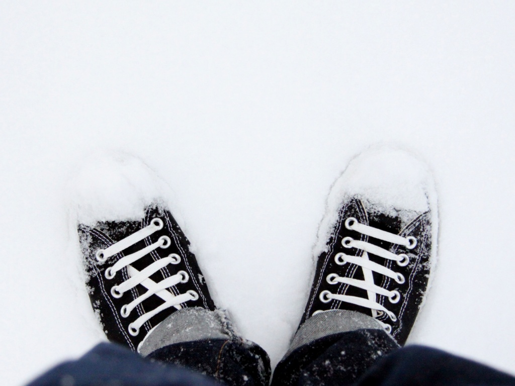 Дурак зимой в кедах обои