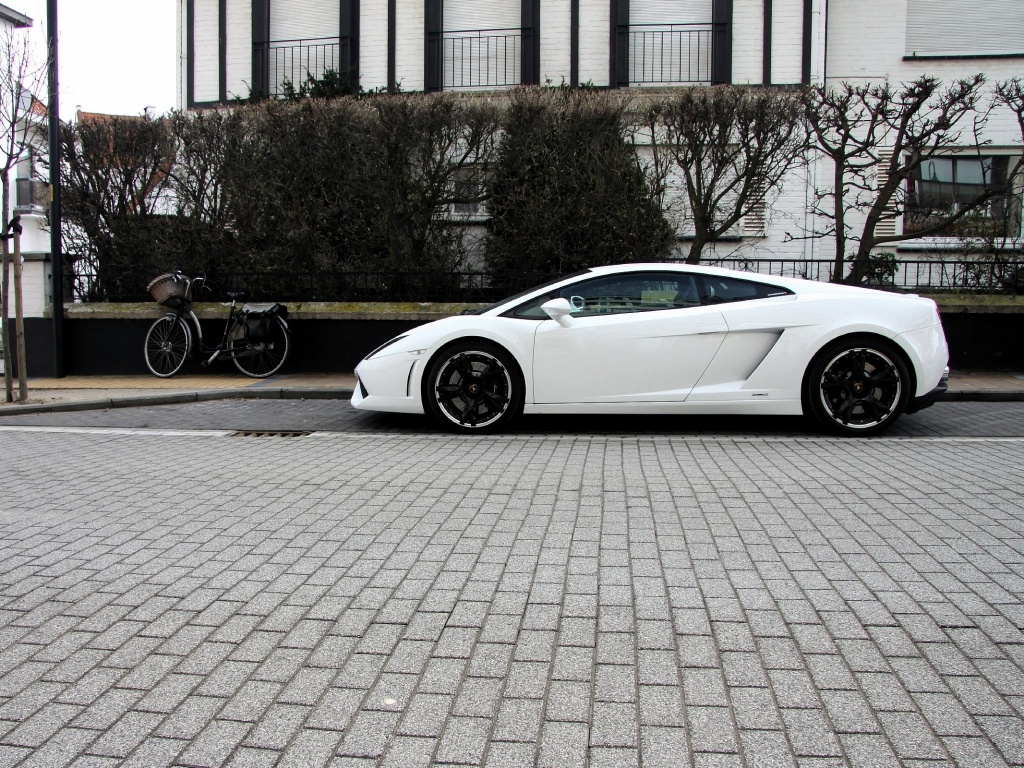 Белый Lamborghini обои
