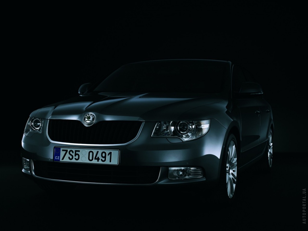 Шкода в темноте обои