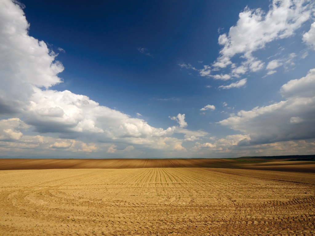 Незасеянное поле обои