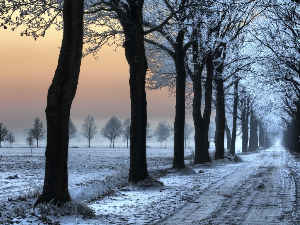 Морозное утро обои