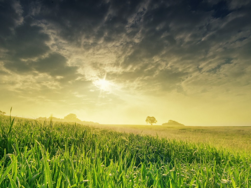 Безмятежность обои