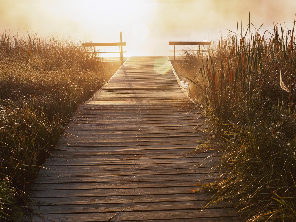 Выход к реке обои