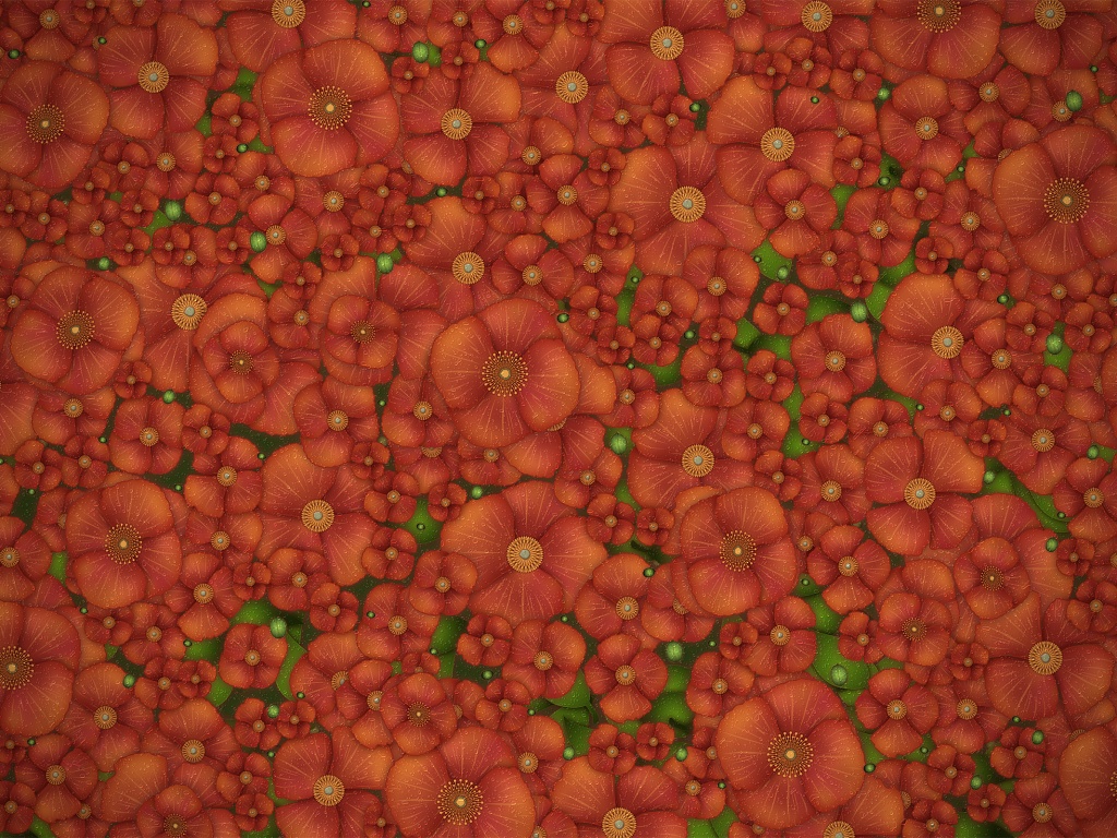 Рисунко с красными цветами обои