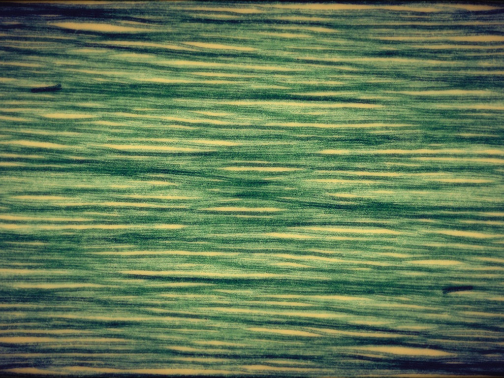 Обои для Mac Book обои