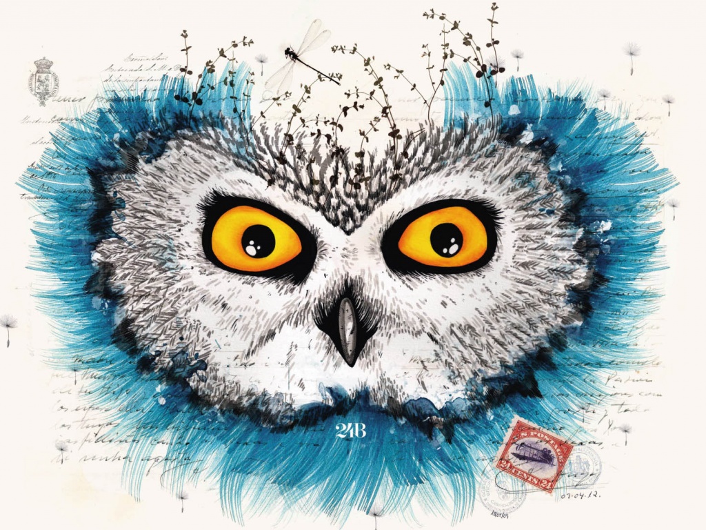 Обои сова для mac book обои