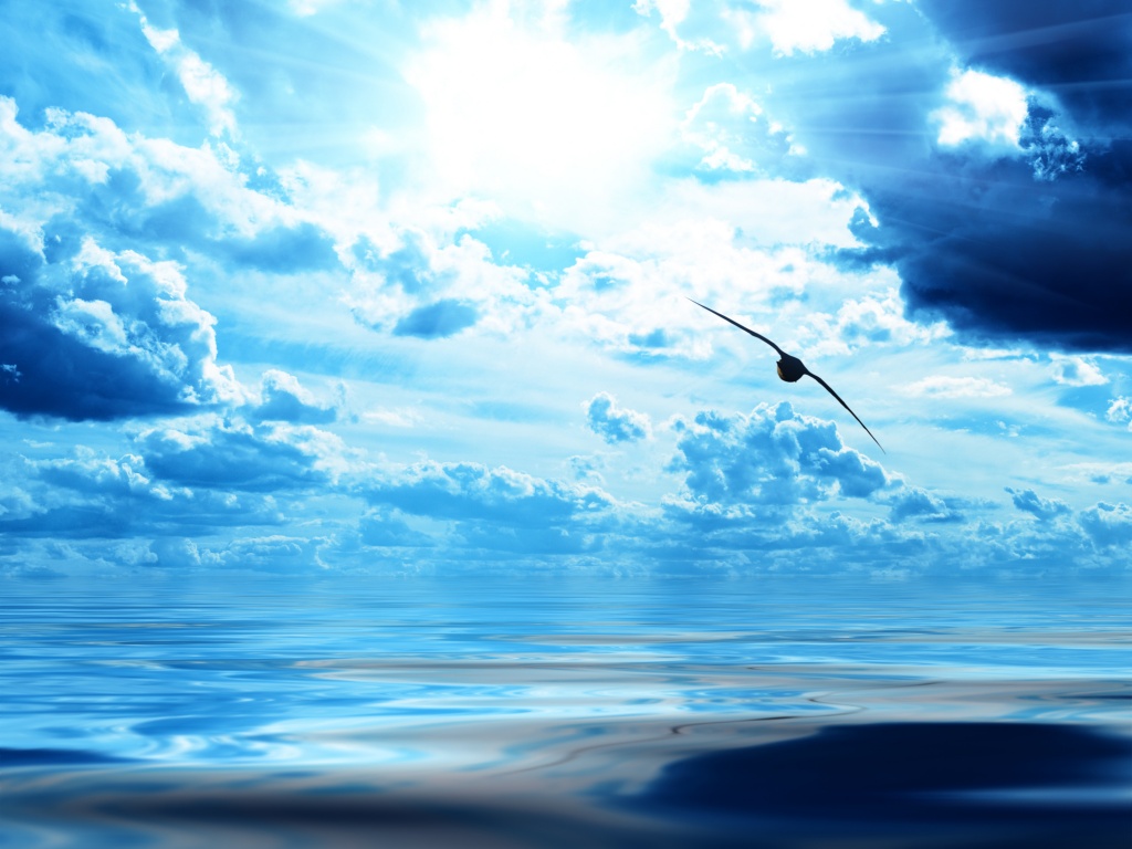 Лети как птица над волнами обои