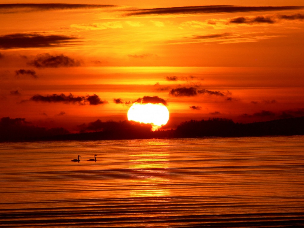 Великолепный рассвет обои