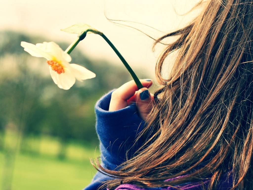 Девушка с нарциссом в руке обои