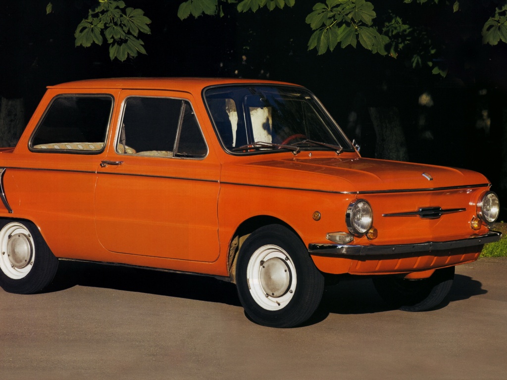 Оранжевый ушастый запорожец обои