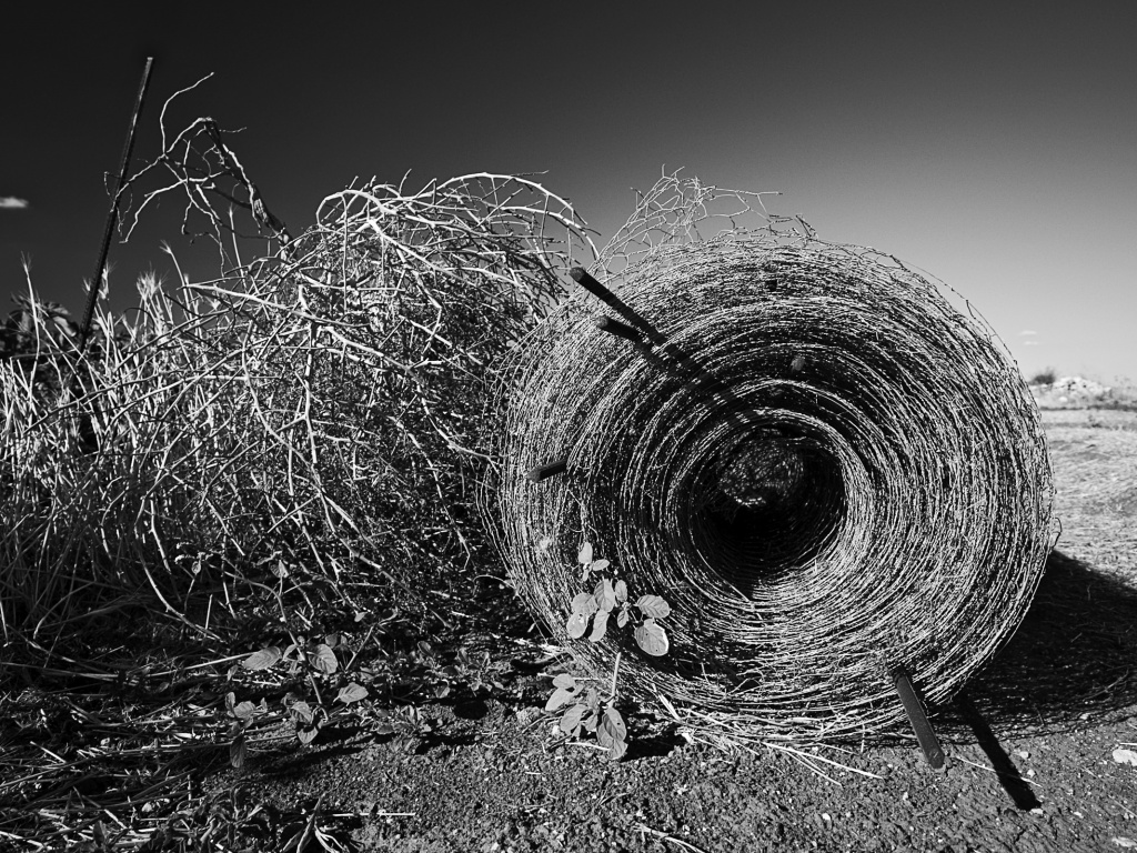 Клубок сена обои