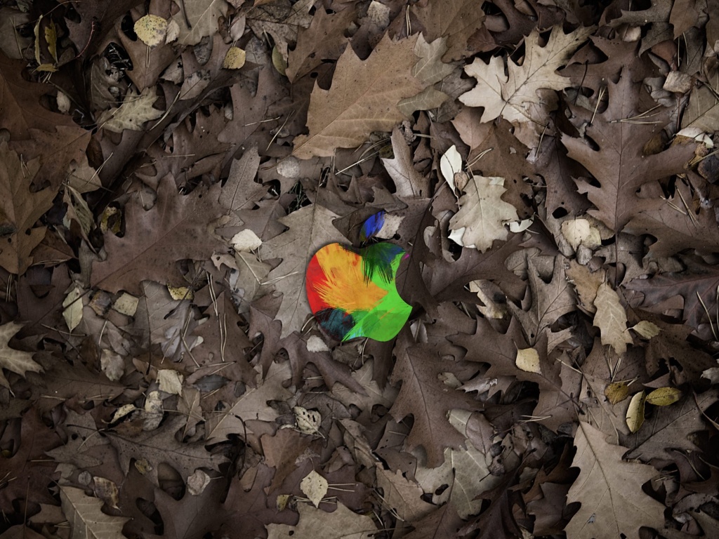 Яблоко в листьях обои