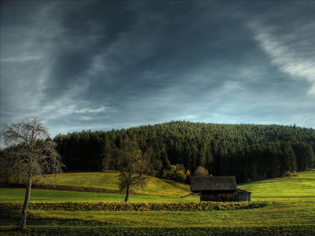 Домик в поле обои