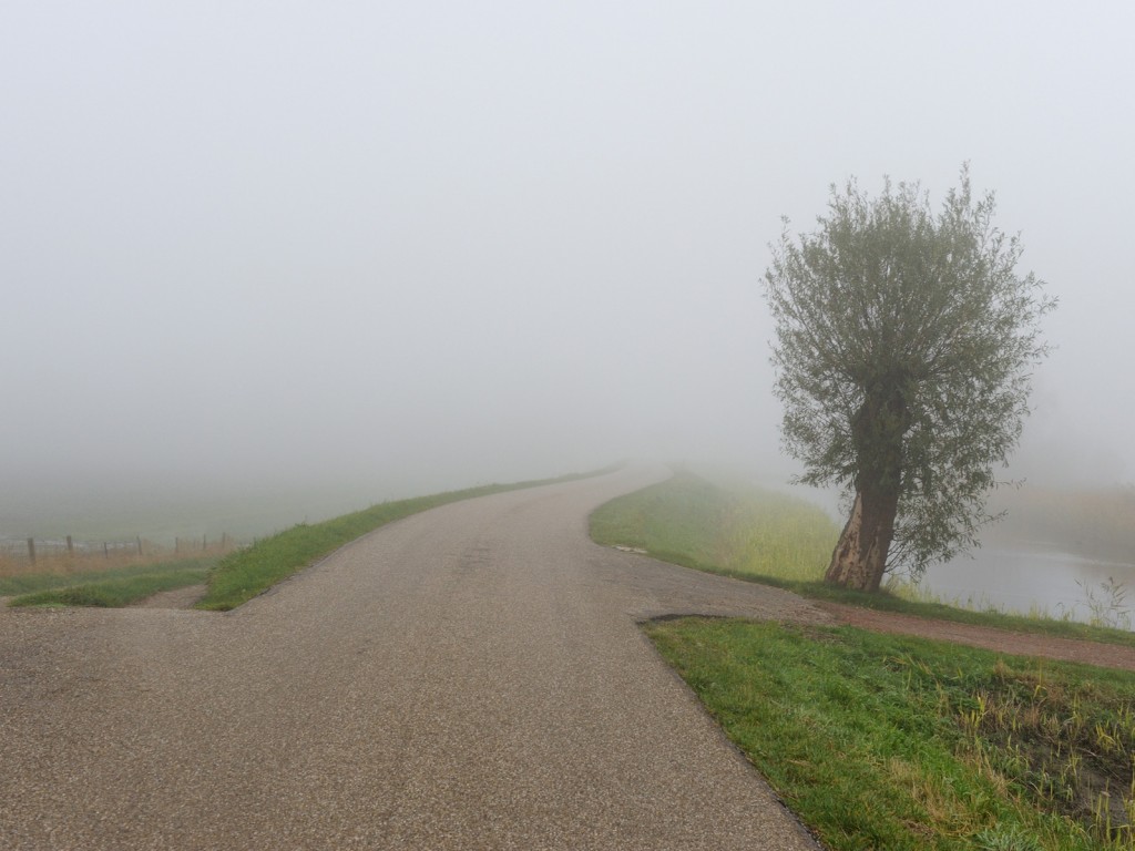 Дорога растворяется в тумане обои