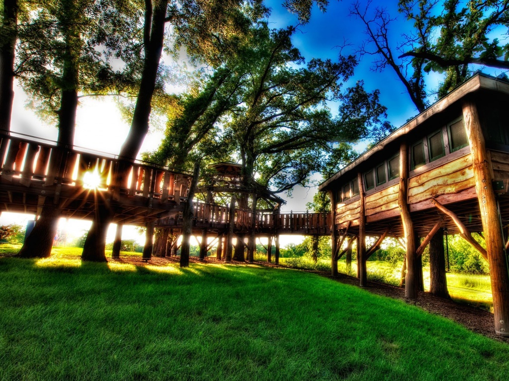 Природа обои