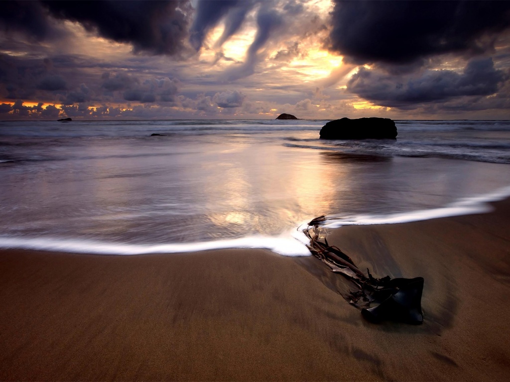 Коряга на пляже обои