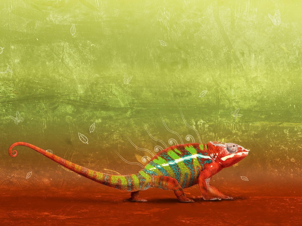 Хамелеон обои