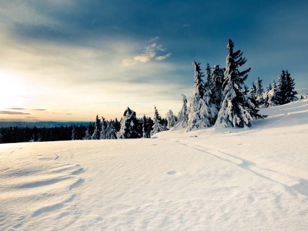 Зимние просторы обои