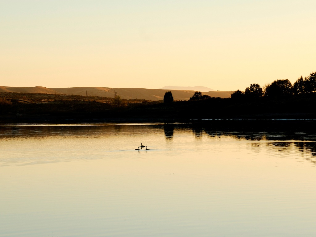 Утиное озеро обои