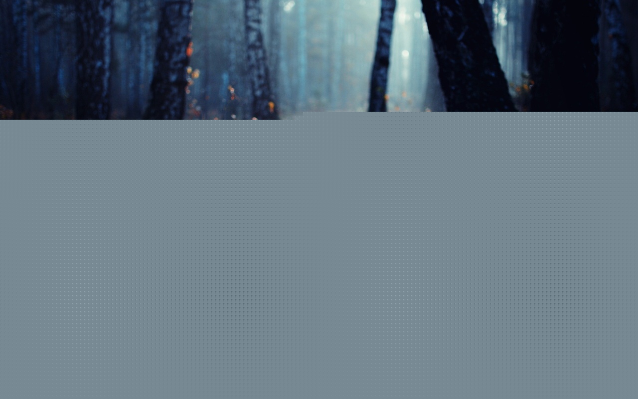 Лесная земля обои