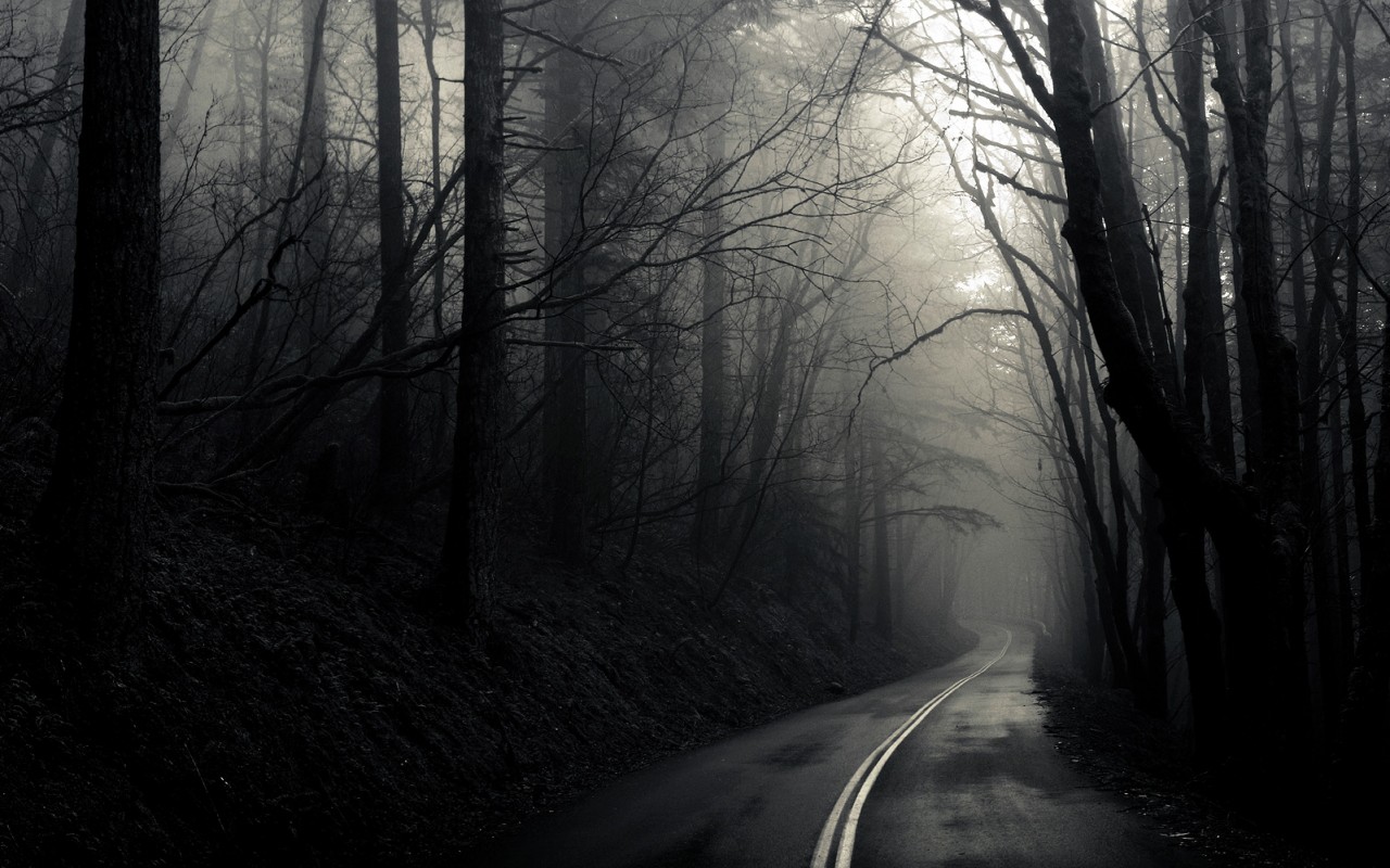 В туман обои