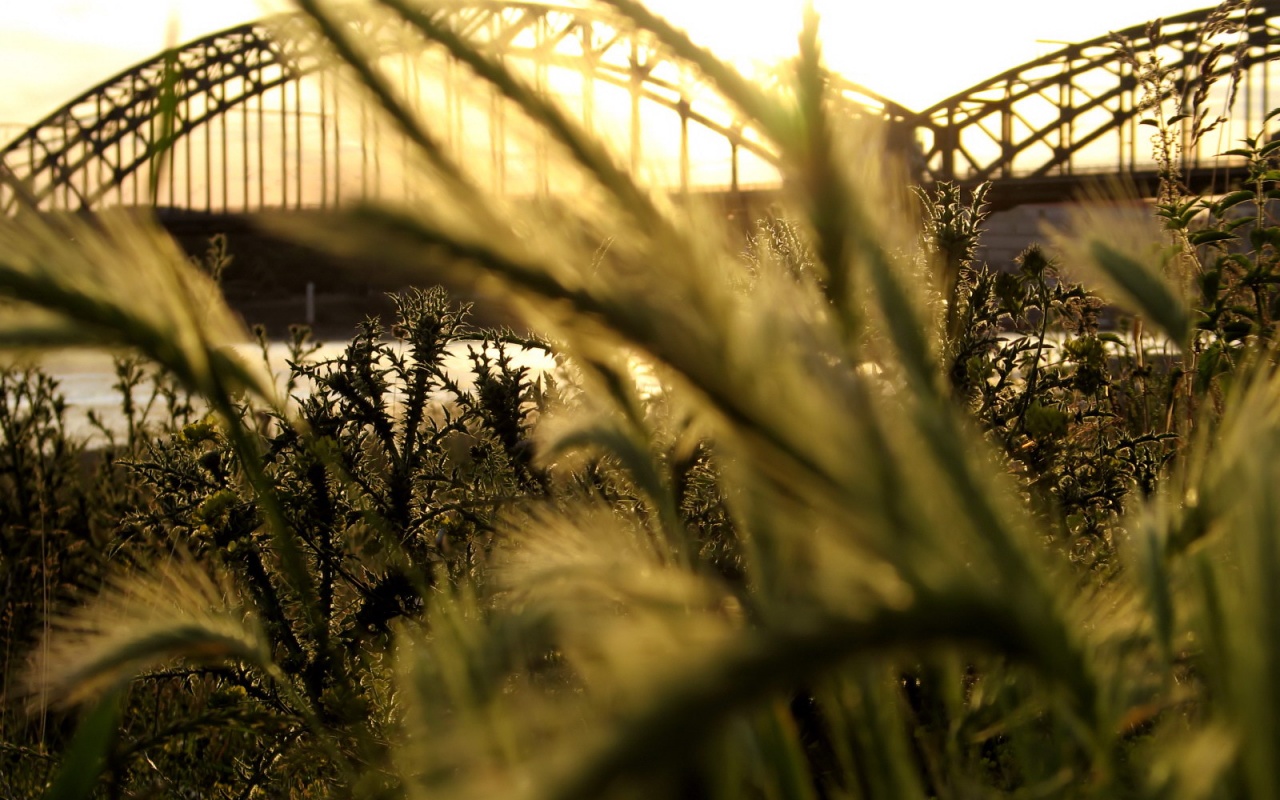 Железнодорожный мост обои