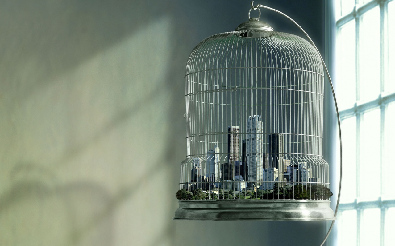 Город в клетке обои