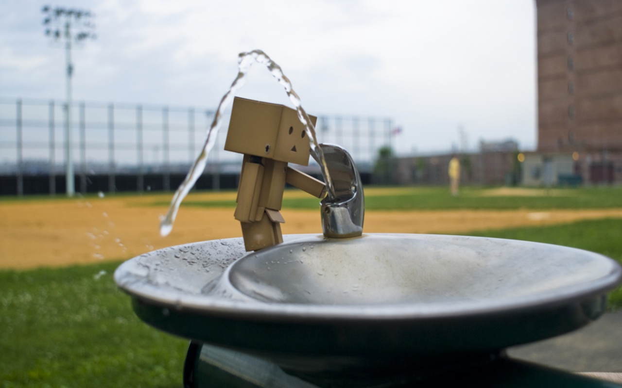 Дандо пьет в воду из фонтанчика обои