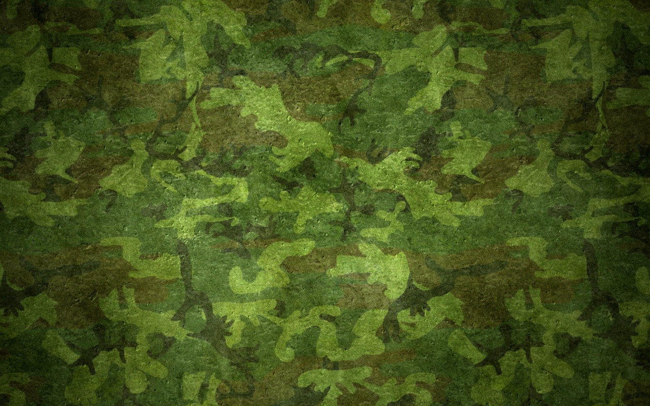 Маскировачная раскраска обои