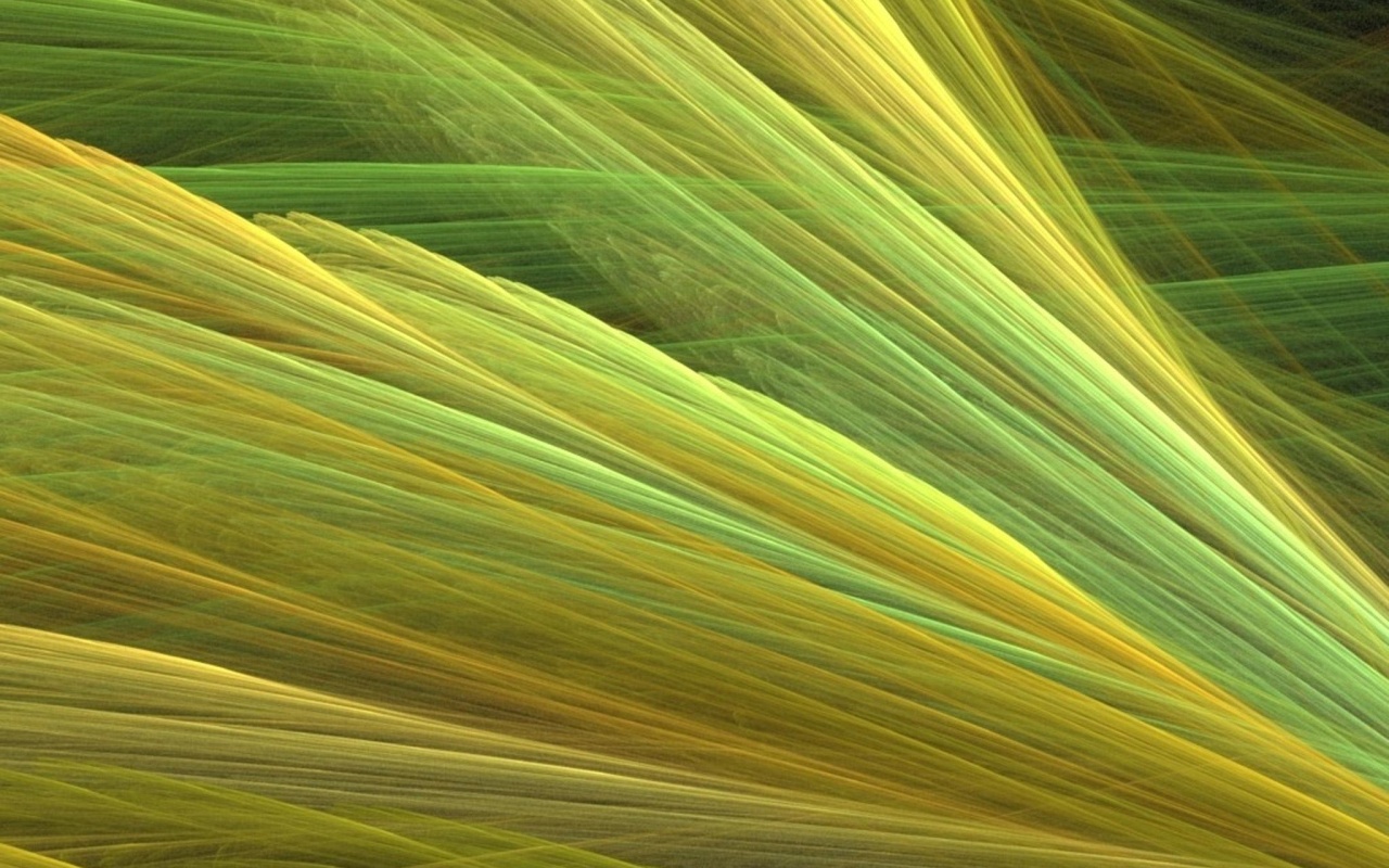 Прозрачные зеленоватые крылья обои