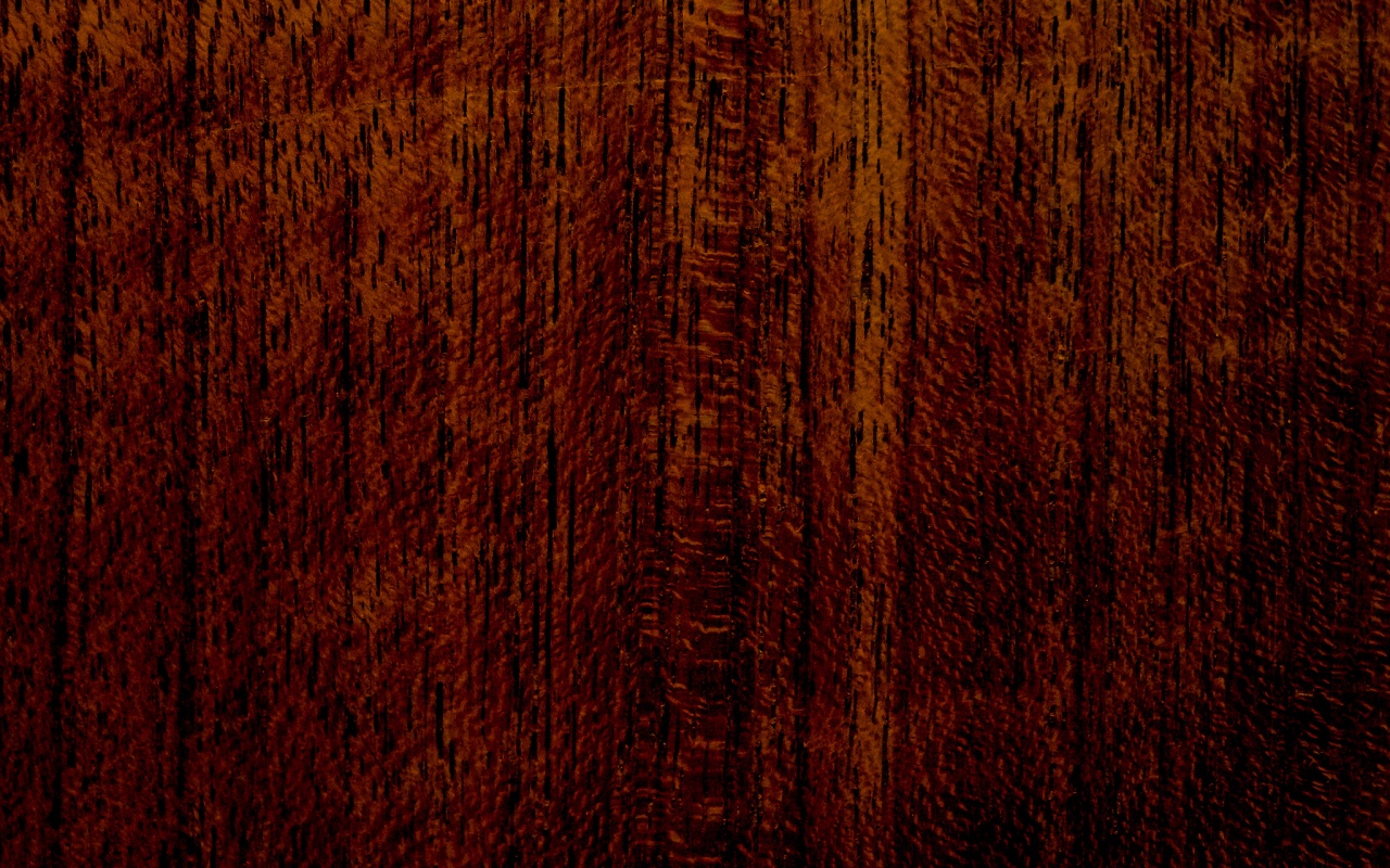 Темно-оранжевое дерево обои