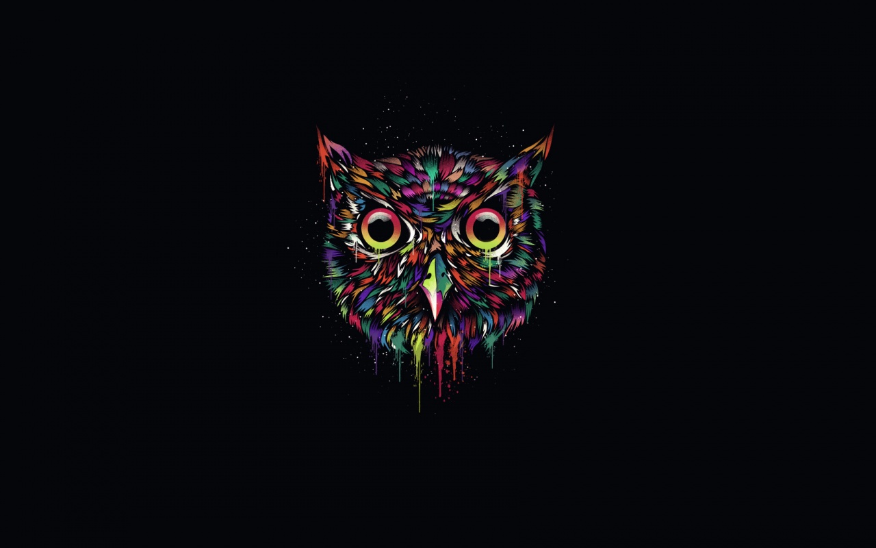 Векторная совиная голова обои