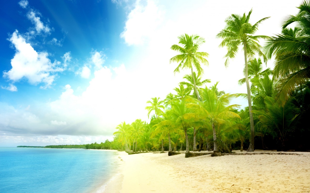 Тропическое побережье обои