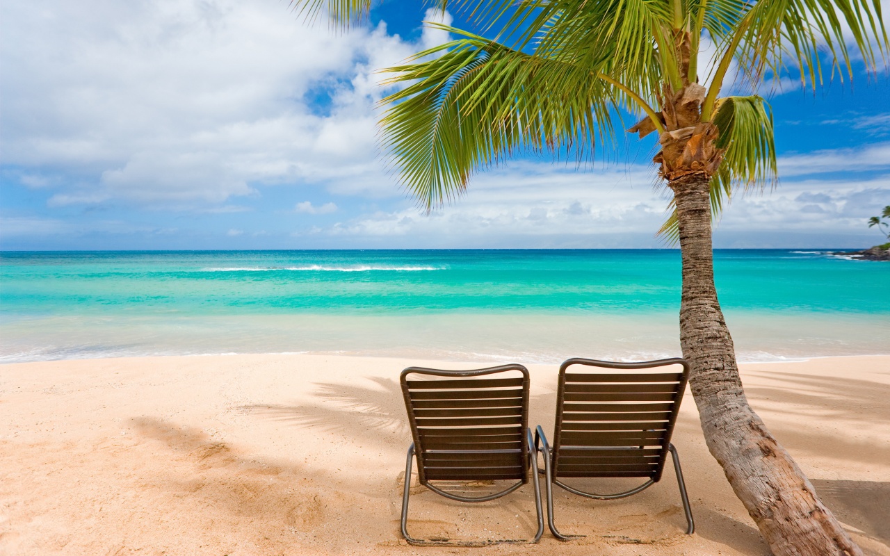 Шезлонги обои