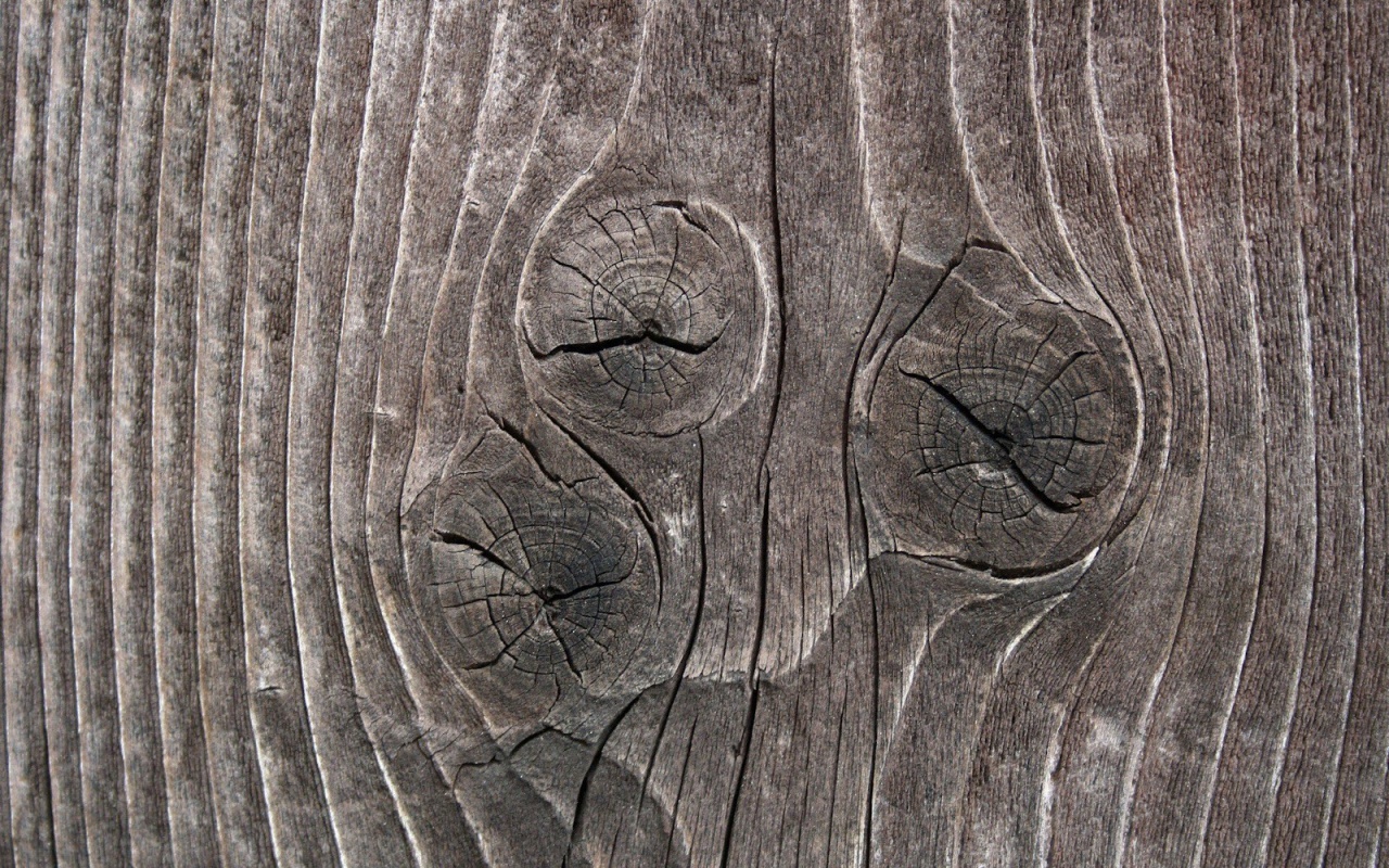 Сучковатое дерево обои