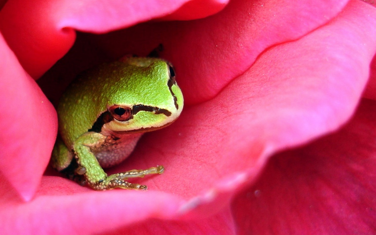 Куда это ты смотришь? обои