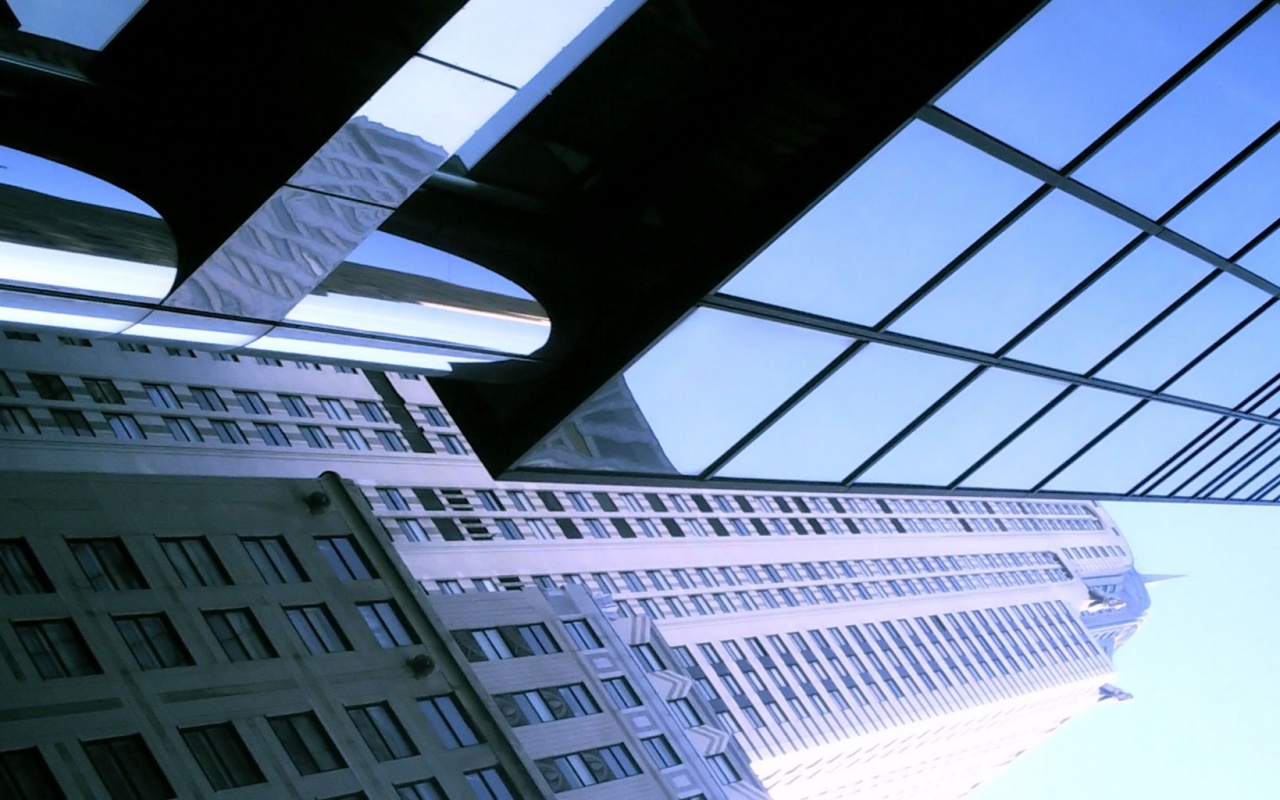 Взгляд вверх обои