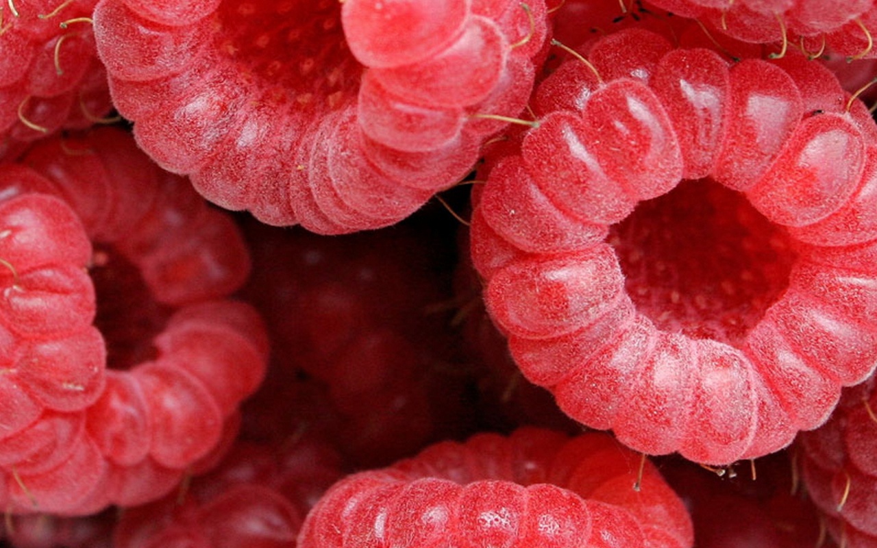 Малина обои