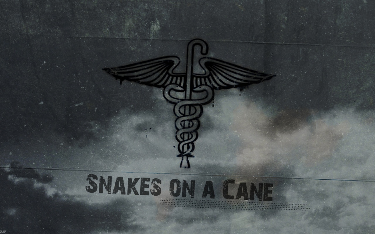 Змеи на трости обои