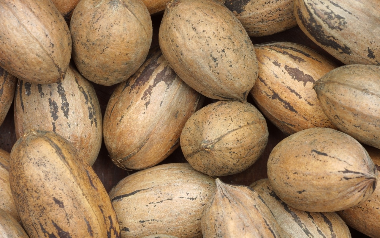 Грецкие орехи обои