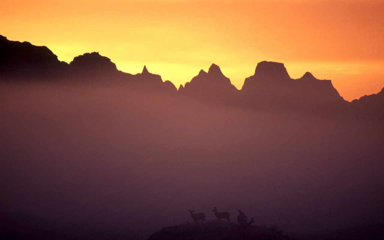 Вечер в национальном парке обои