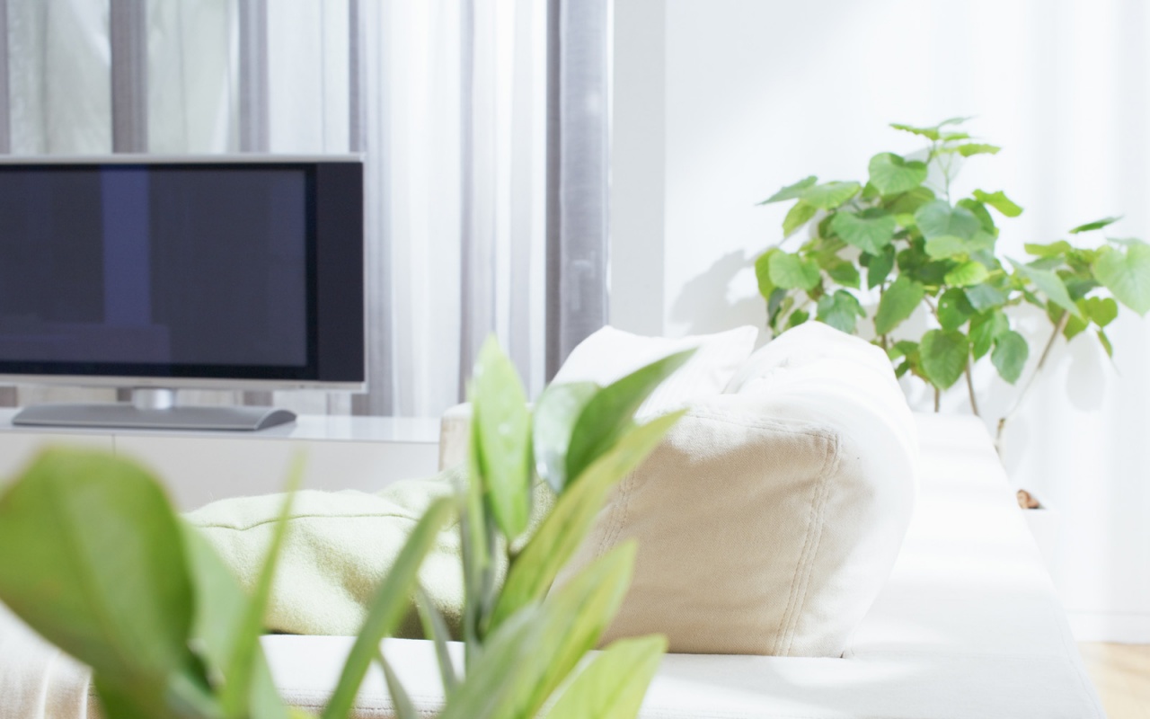 Белая комната обои