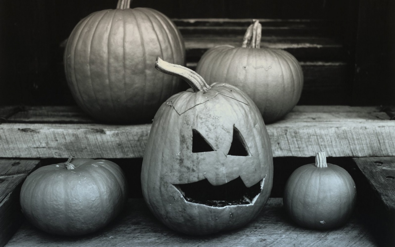 Тыквы на хэллоуин обои