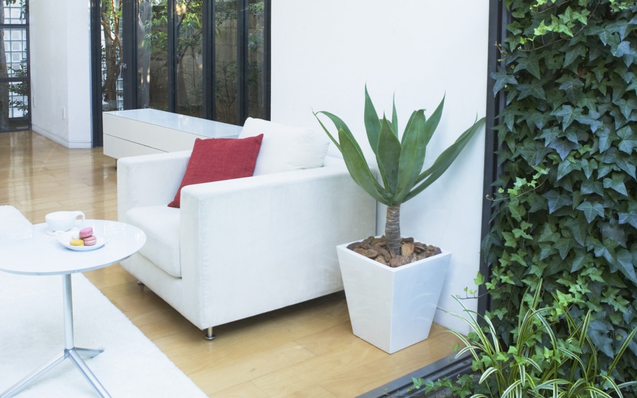 Белое кресло обои