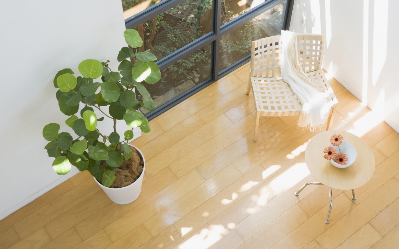 Стул, столик и цветы в комнате обои