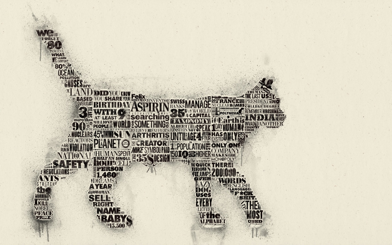 Кот - газета обои