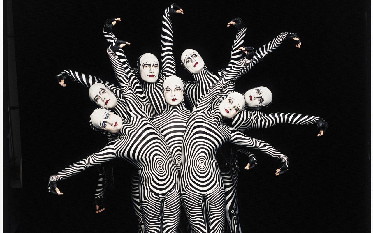 Зеброиды (актеры цирка дю солей) обои